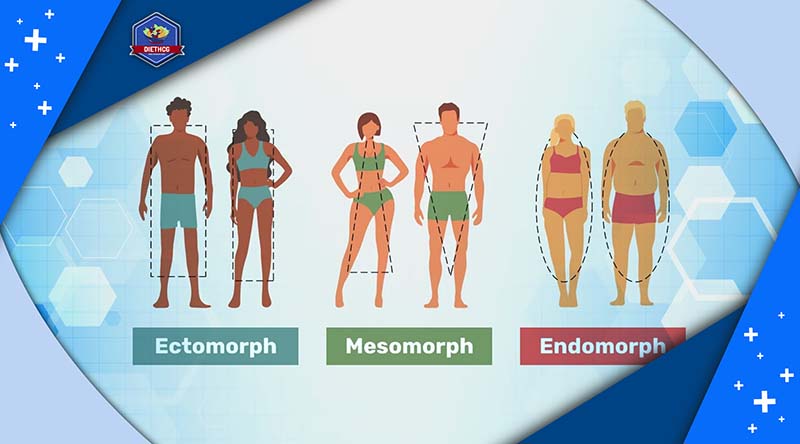 Understanding Your Body Type