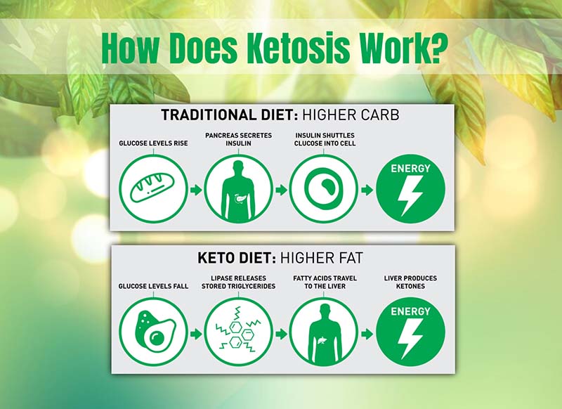 How Does the Keto Diet Work